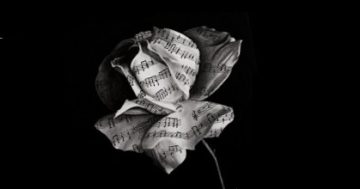 Rassegna musicale “In Concerto”