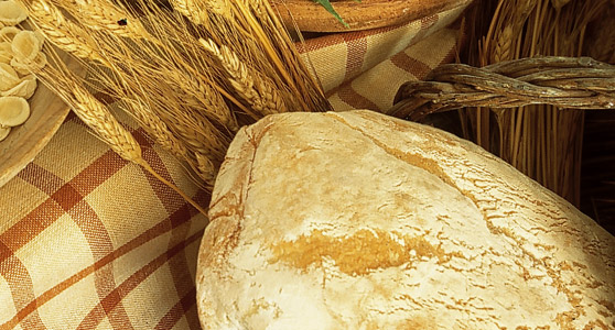 Il pane (di ieri e di oggi) della Daunia e del Gargano