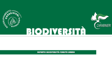 Giornata Internazionale della Biodiversità