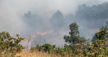ULTIM’ORA: incendio in zona Sant’Egidio ULTIM’ORA: incendio in zona Sant’Egidio
