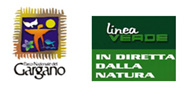 Linea verde