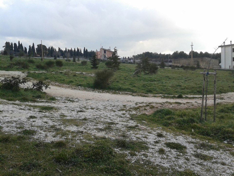 Un nuovo parco verde per la città
