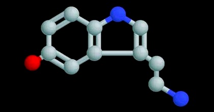 Serotonina, la sostanza del buonumore