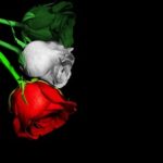 Buon compleanno Italia