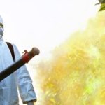 disinfestazione