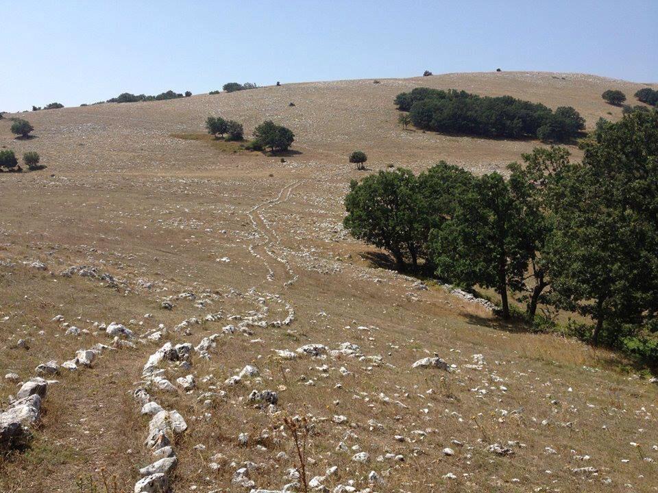 Monte Calvo: passeggiata sulla schiena del Gargano