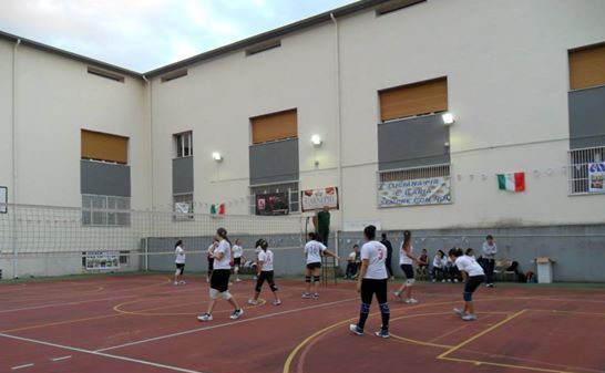 volley avis