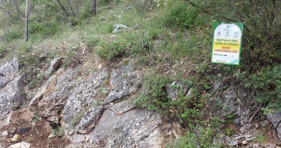 “Adotta un inghiottitoio”, la campagna lanciata da Legambiente