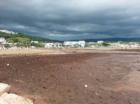 Maltempo, Gargano flagellato. Peschici isolata.