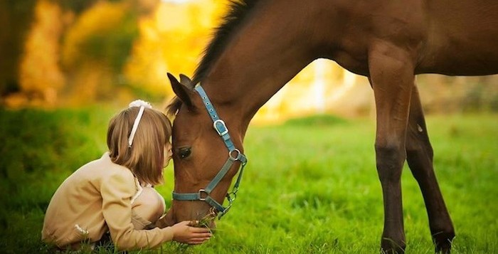 Una giornata a cavallo