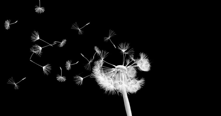 Ricordare… agire… cambiare