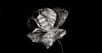Rassegna musicale “In Concerto”