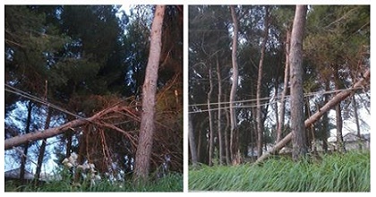 Attenti a quei cavi!