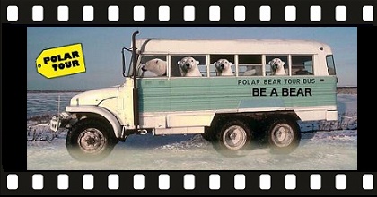 Il “Polar Tour” di Be a Bear fa tappa al Provo Cult