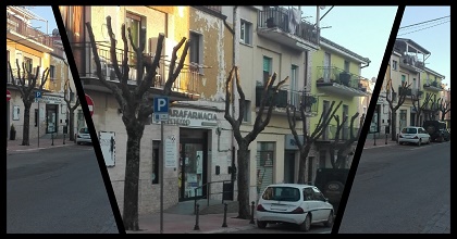Quegli alberi tagliati “a zero”