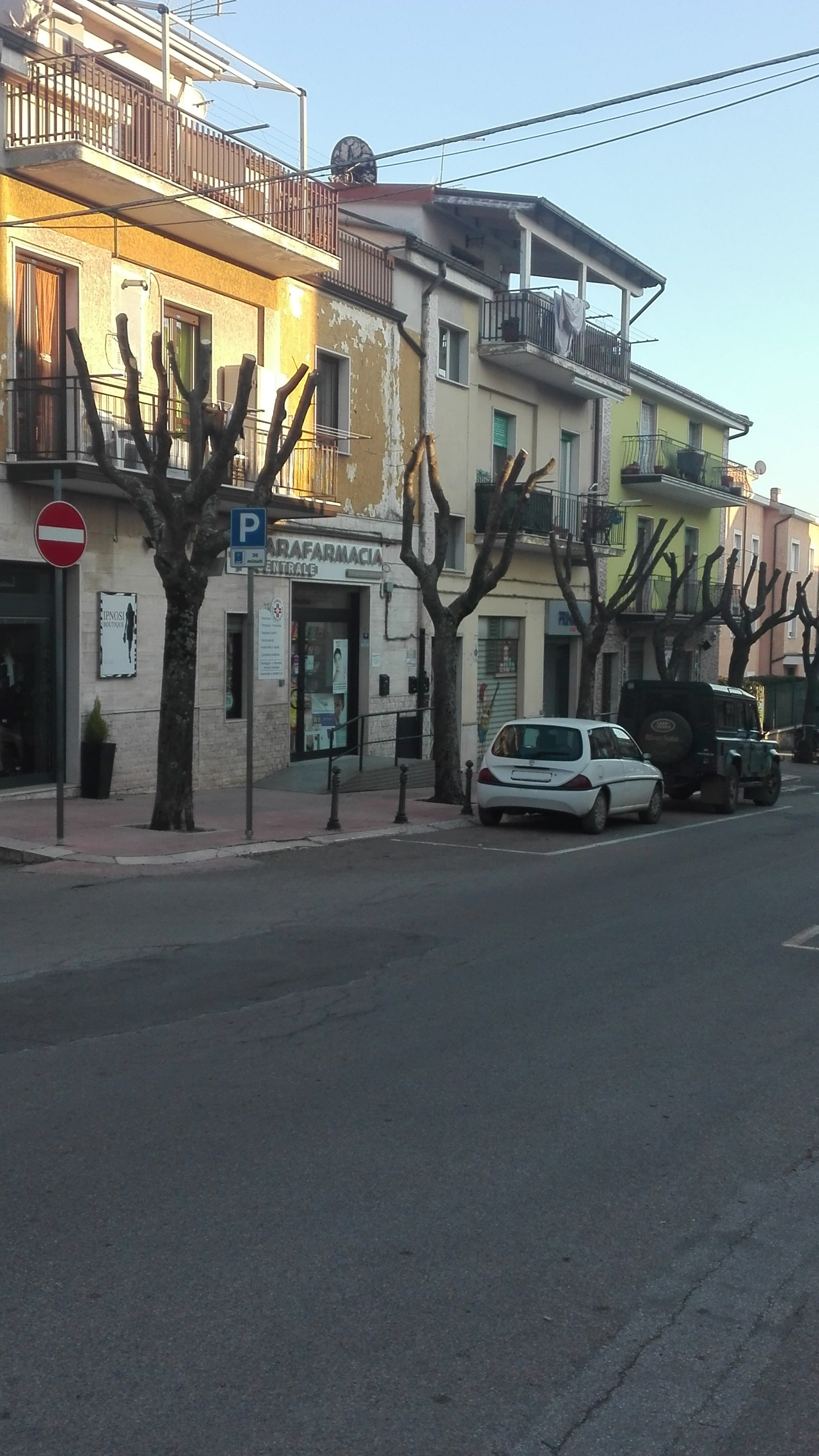 alberi corso Roma