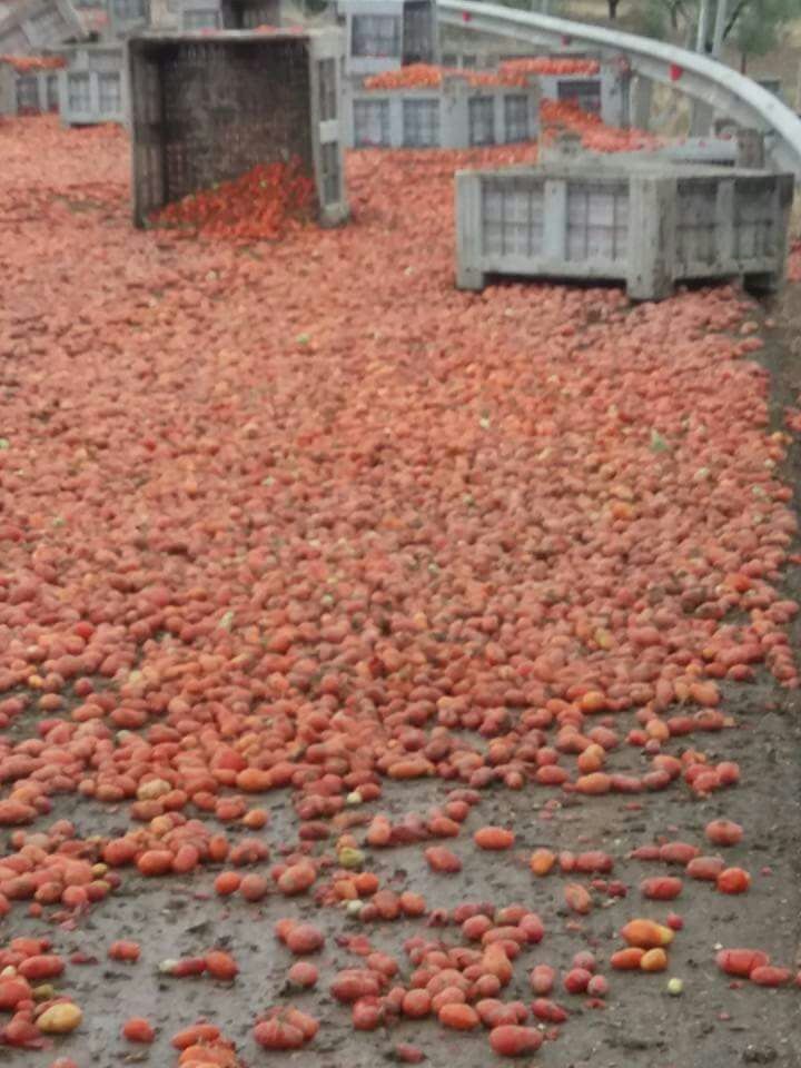 incidente - pomodori in strada