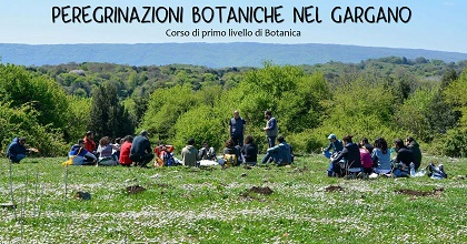 Peregrinazioni botaniche: le camminate alla scoperta del Gargano
