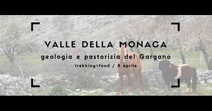 Escursione nel Gargano, tra paesaggi antichi e sapori veri