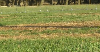 Il Parco del Papa sfruttato e abbandonato