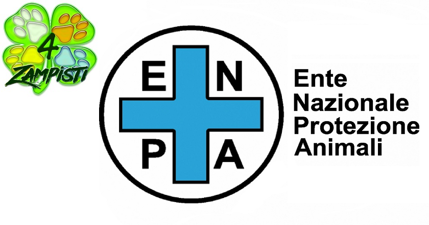 I 4Zampisti della sezione ENPA chiedono tavolo tecnico urgente