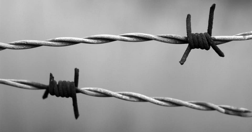 Il giorno della memoria e le contraddizioni del presente