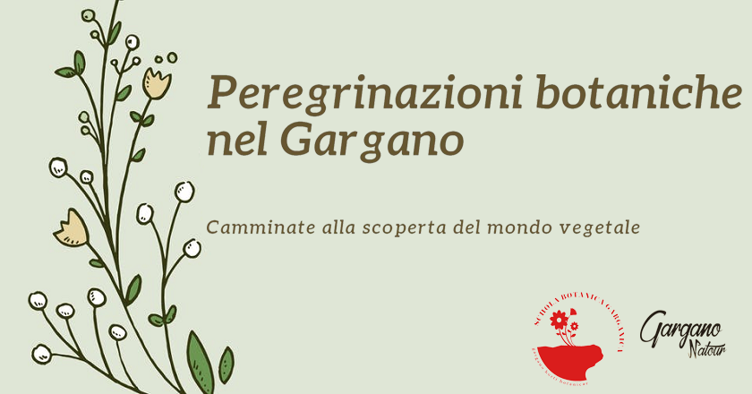 Peregrinazioni botaniche nel Gargano