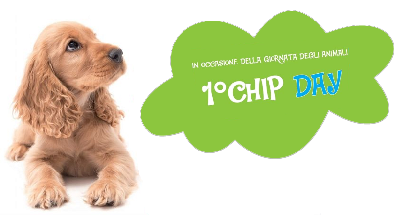 1° Chip Day