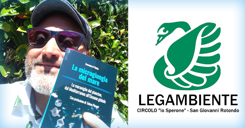 Scoprire la microgiungla del mare… con Domenico D’Alelio