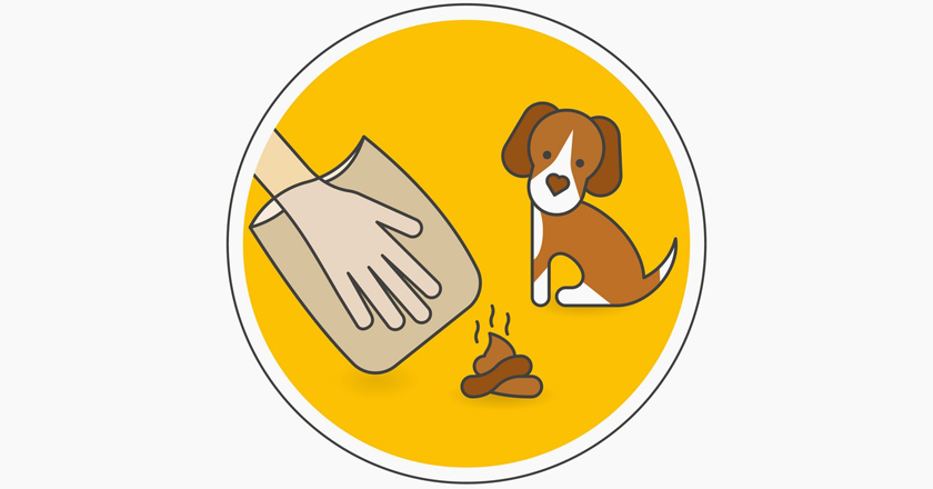 Cani e decoro urbano: scatta ordinanza per il benessere degli animali
