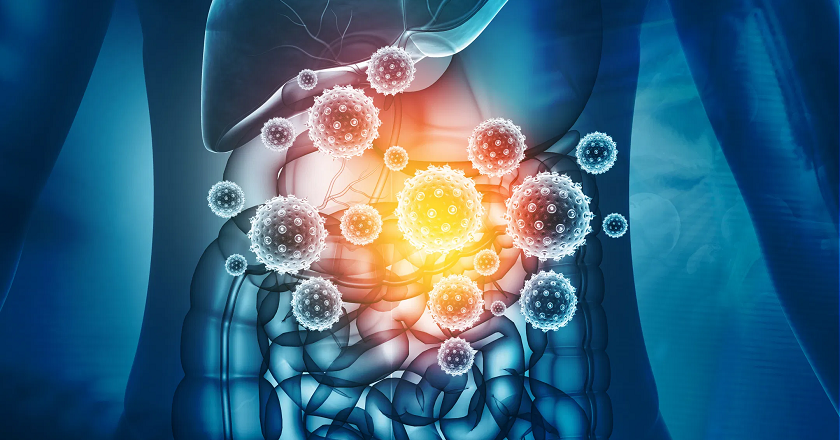 Covid, sequenziamento genomico del microbiota intestinale