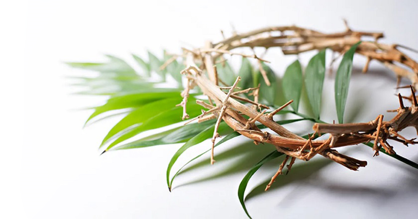 Domenica delle Palme