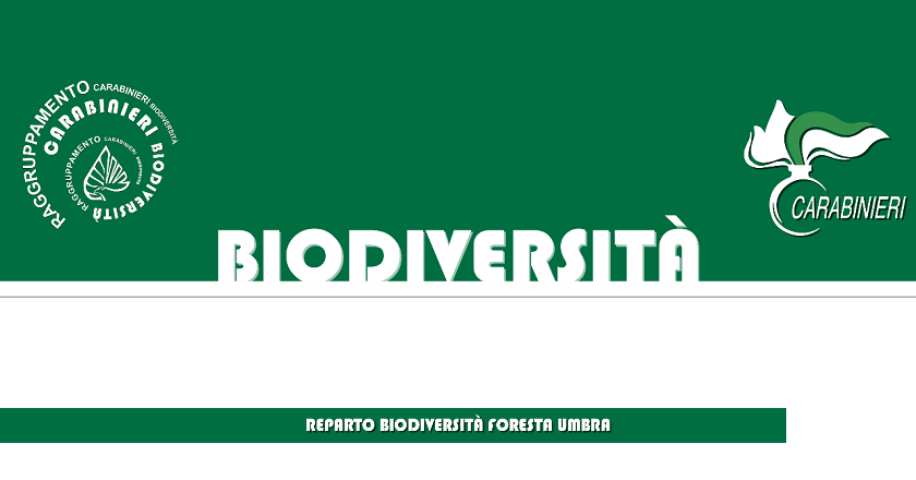 Giornata Internazionale della Biodiversità