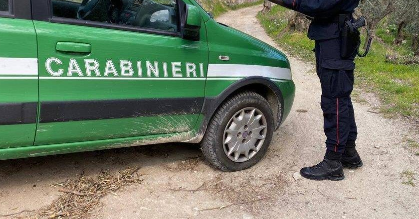 Smaltimento illecito di rifiuti, operazione dei carabinieri a San Giovanni Rotondo