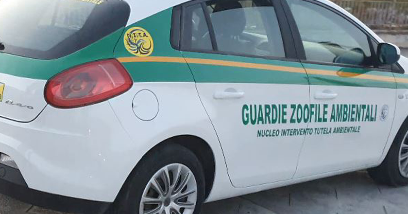 In città arrivano le Guardie Ecozoofile