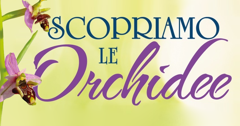 Scopriamo le orchidee del Gargano