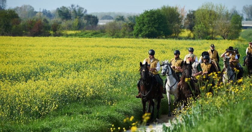 San Giovanni Rotondo accoglie i Cavalieri in cammino verso Roma